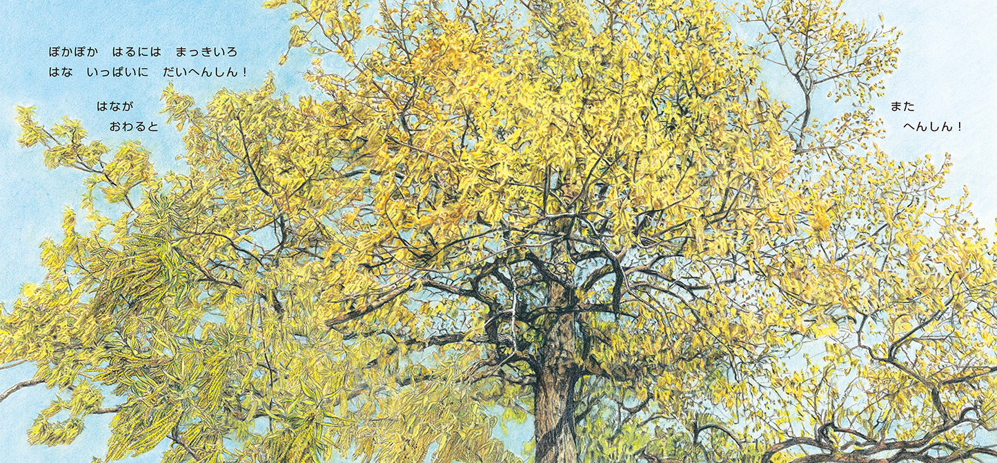 ぽっとん ころころ どんぐり