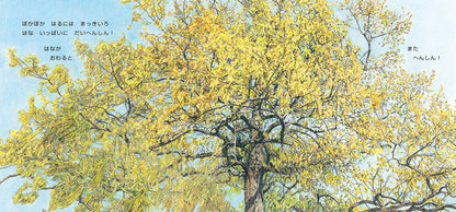 ぽっとん ころころ どんぐり