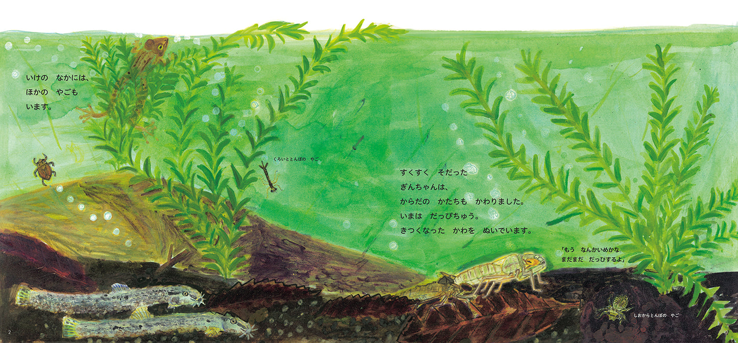 とんぼの ぎんちゃん うまれたよ！