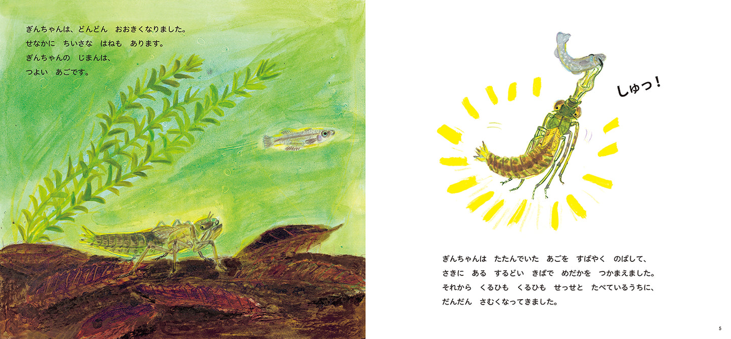 とんぼの ぎんちゃん うまれたよ！