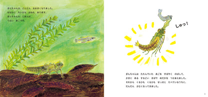 とんぼの ぎんちゃん うまれたよ！