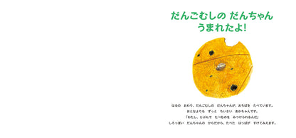 だんごむしの だんちゃん うまれたよ！