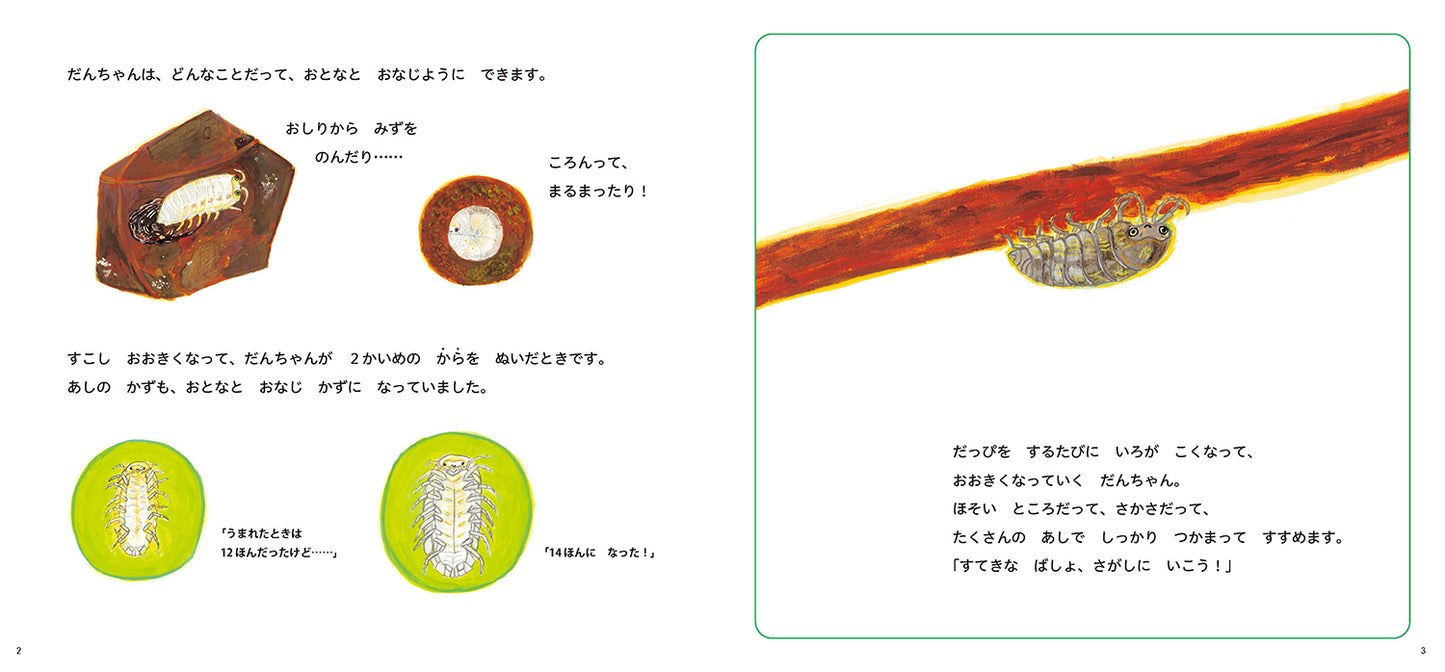 だんごむしの だんちゃん うまれたよ！