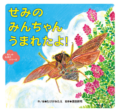 せみの みんちゃん うまれたよ！