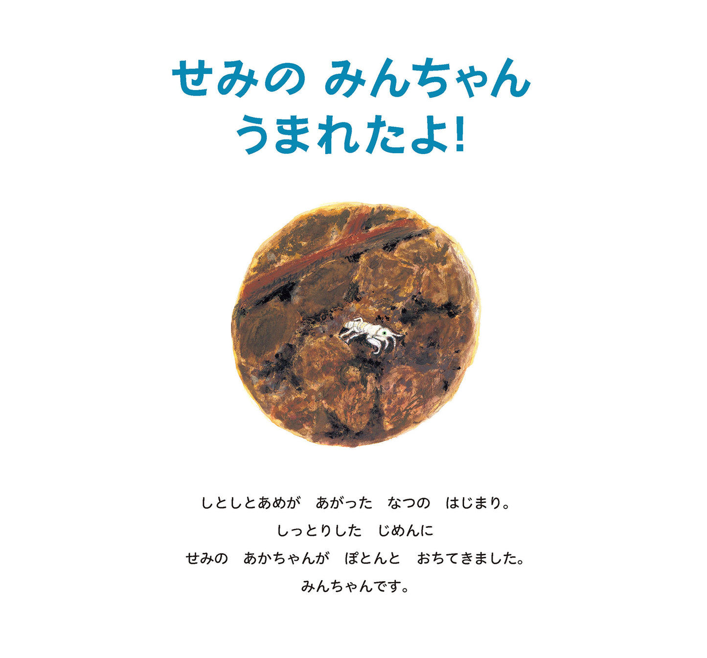 せみの みんちゃん うまれたよ！