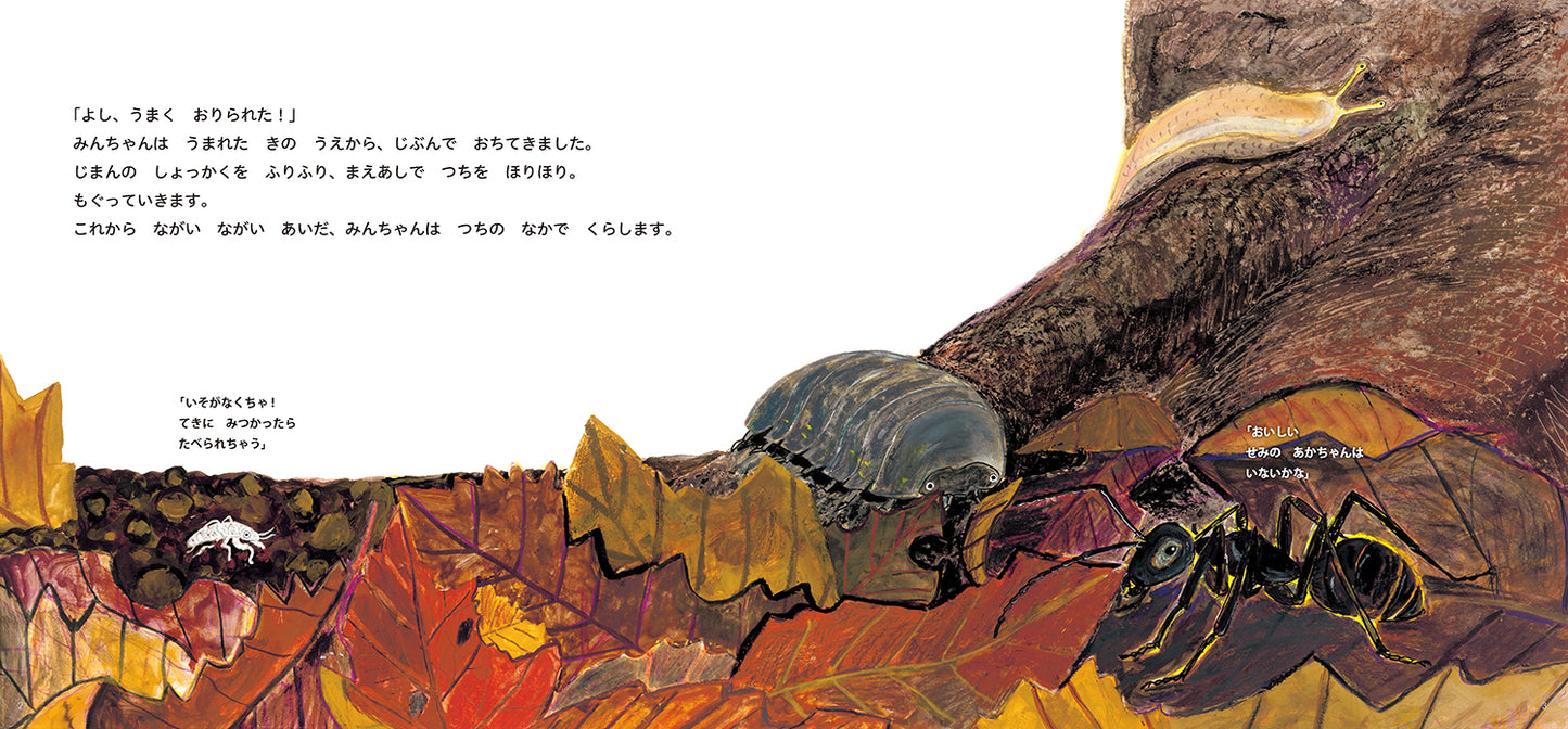 せみの みんちゃん うまれたよ！