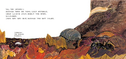 せみの みんちゃん うまれたよ！