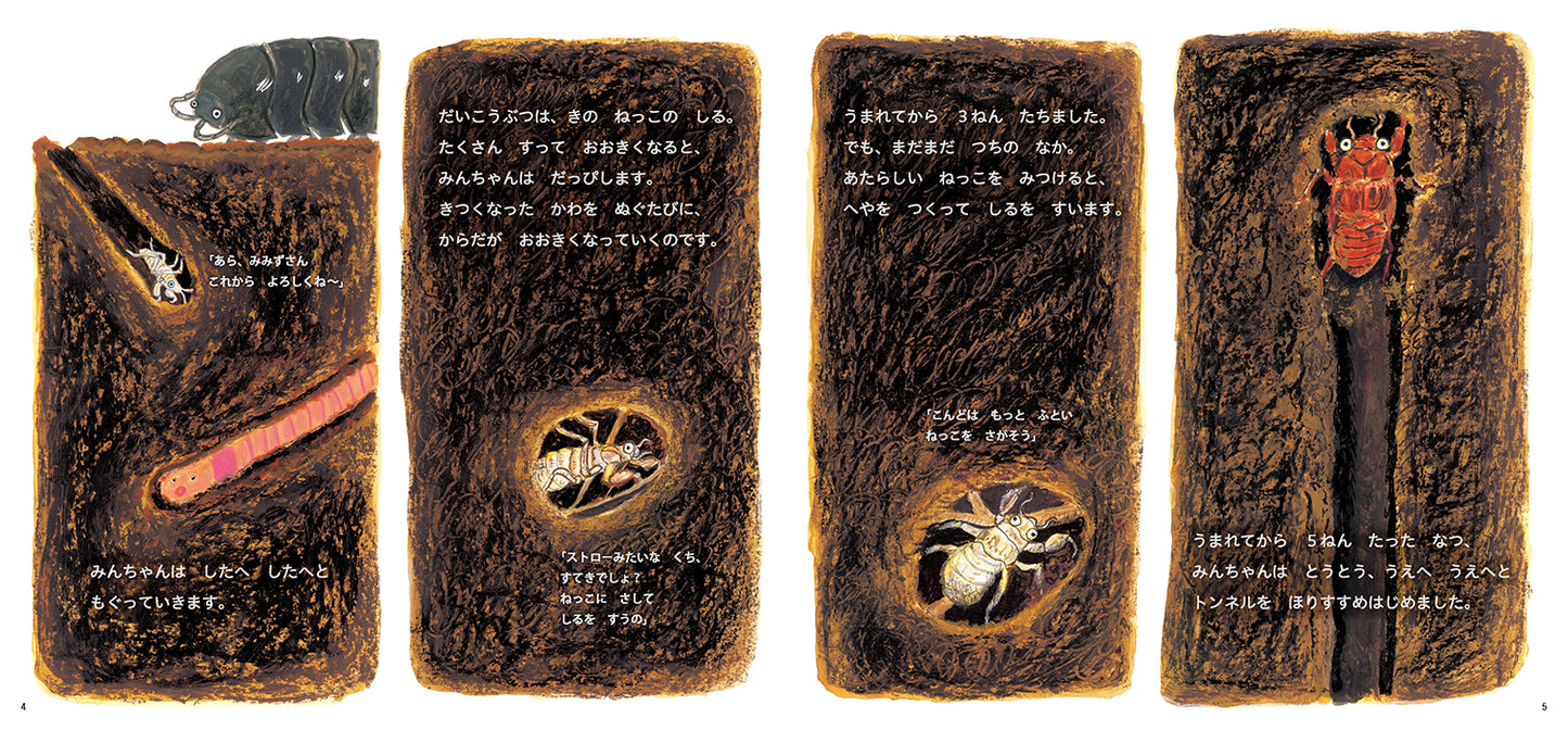 せみの みんちゃん うまれたよ！