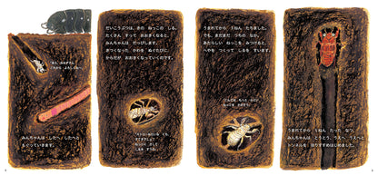 せみの みんちゃん うまれたよ！