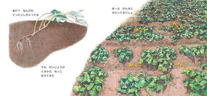 ごろんずっしり さつまいも